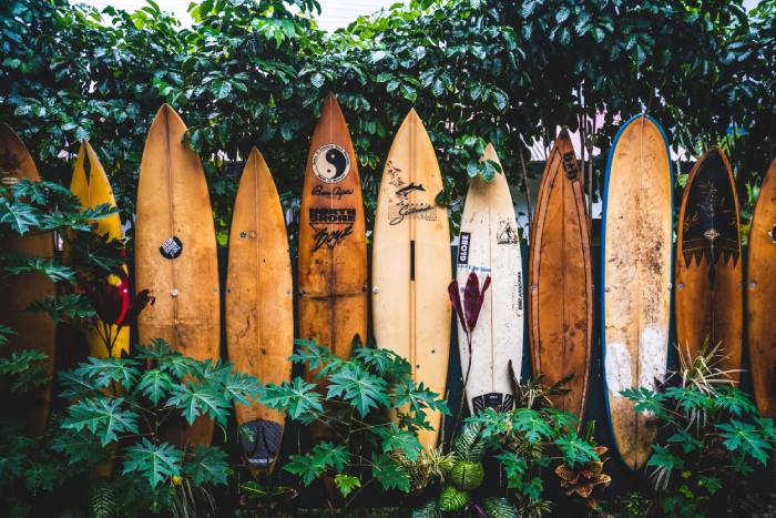 Nebeneinander aufgestellte Surfboards im Retro Stil.